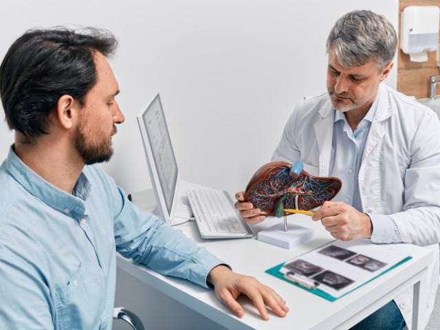 Médico mostrando cómo regenerar el hígado dañado por el alcohol.