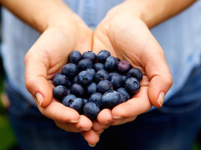 Imagen de para qué son buenos los arándanos.