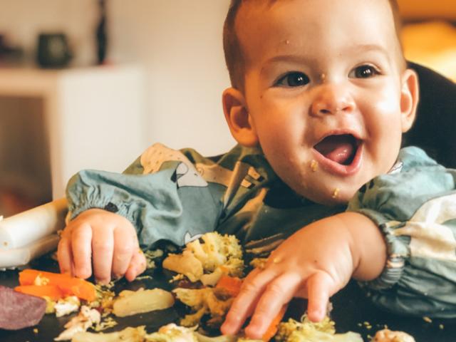 Imagen que muestra alimentos prohibidos del BLW.