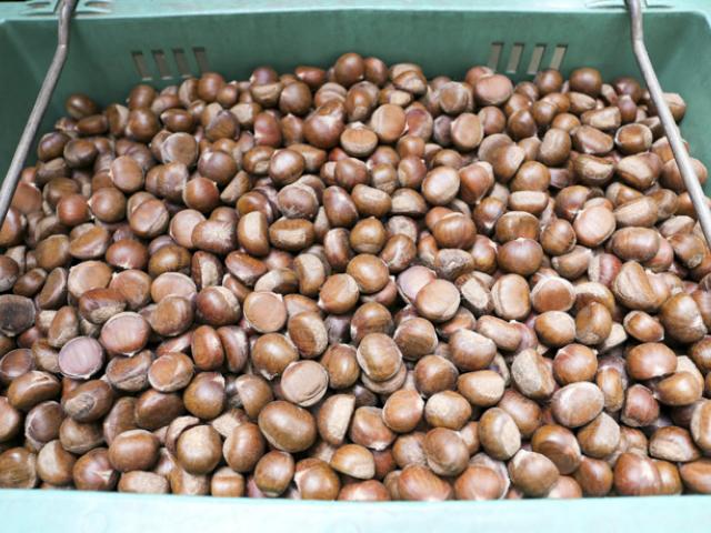 Cesta llena de castañas