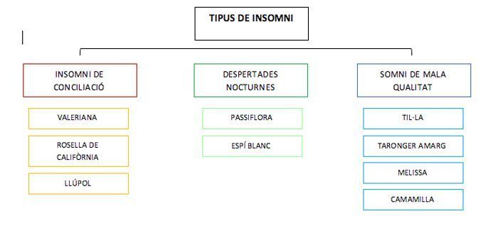 plantes per combatre l'insomni