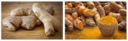 jengibre y cúrcuma para la artritis reumatoide