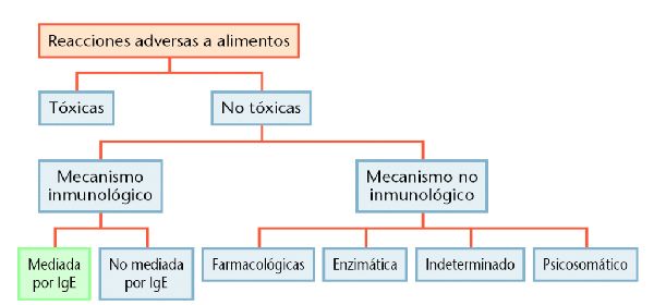 reacción por intolerancia alimentaria