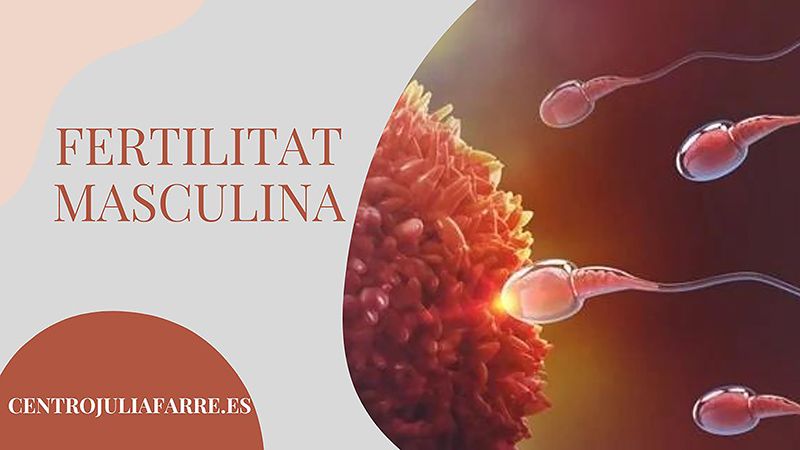 fertilitat masculina